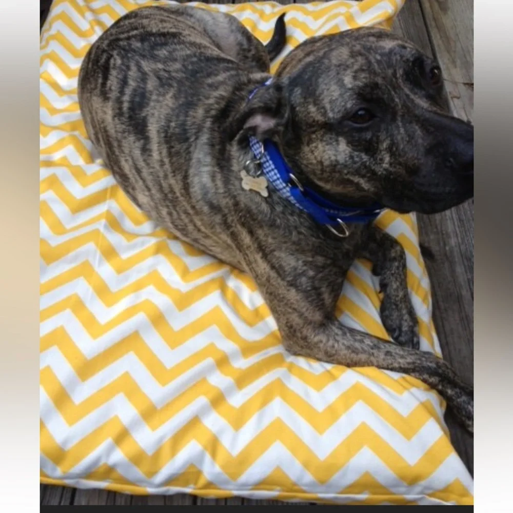 For Your Love of Dogs Yellow Chevron Dog Bed Cover